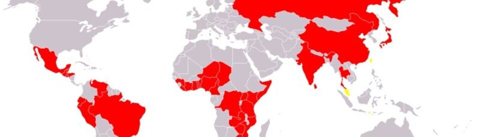 Längst keine Geschichte. Die Cholera-Verbreitung 2004.
