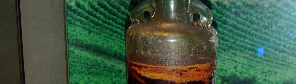 Der Römerwein in Speyer ist der älteste erhaltene Wein der Welt (um 325 n. Chr.). Die Glasflasche war damals jedoch eine Ausnahme.